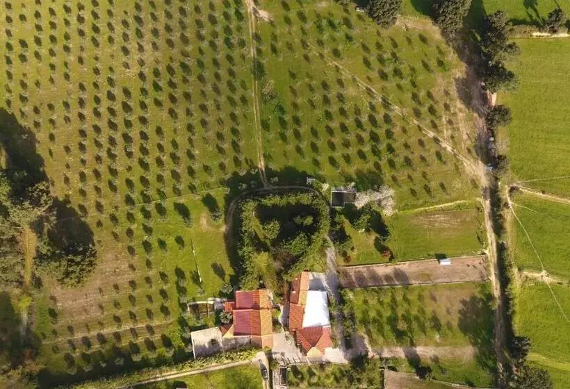 ホテル Quinta Santo Antonio Do Rio