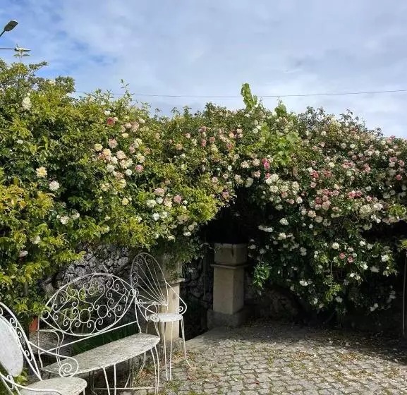 ホテル Quinta Santo Antonio Do Rio
