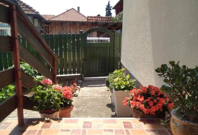 پانسیون Guest House Isidora