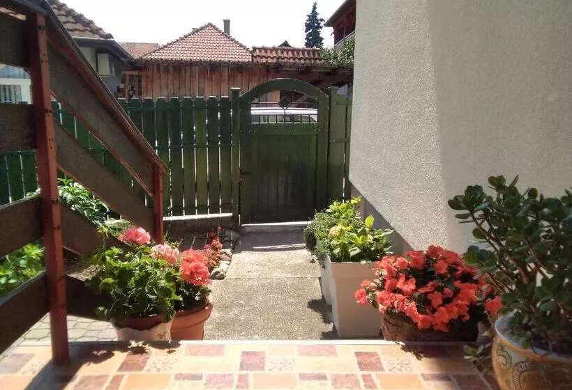 پانسیون Guest House Isidora