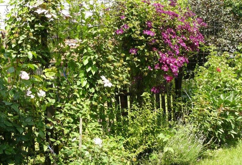 پانسیون Guest House Isidora