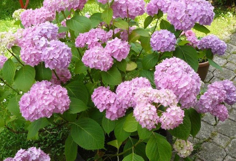 پانسیون Guest House Isidora