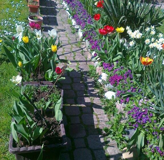 پانسیون Guest House Isidora