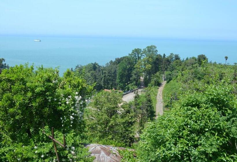 پانسیون Medea S Guest House