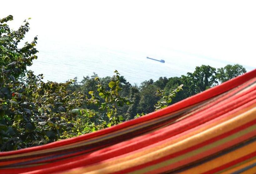 پانسیون Medea S Guest House