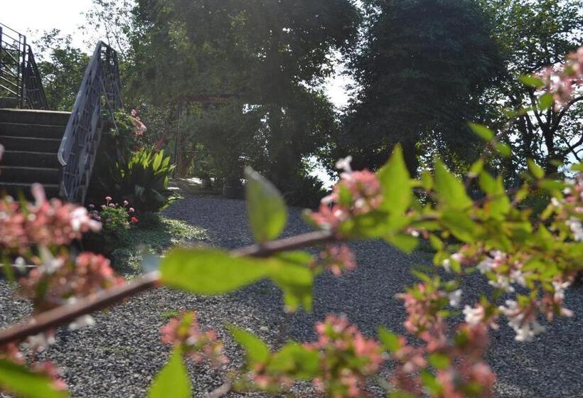 پانسیون Medea S Guest House