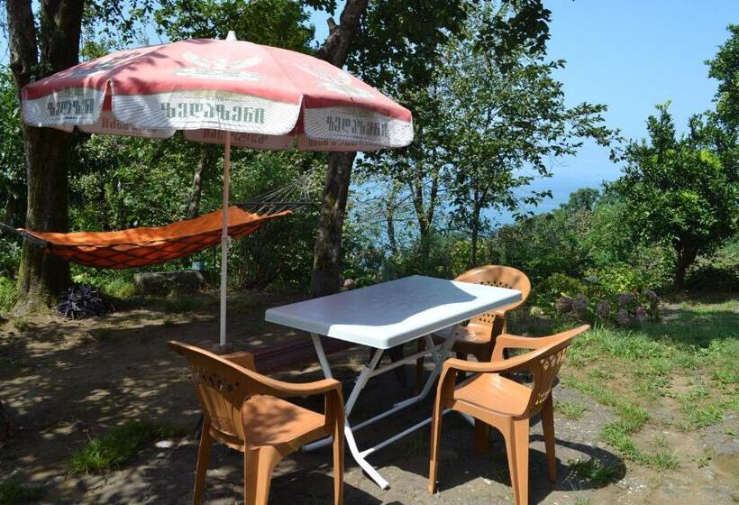 پانسیون Medea S Guest House