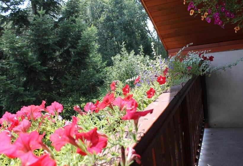 펜션 Ubytovanie Hugo Alžbetka