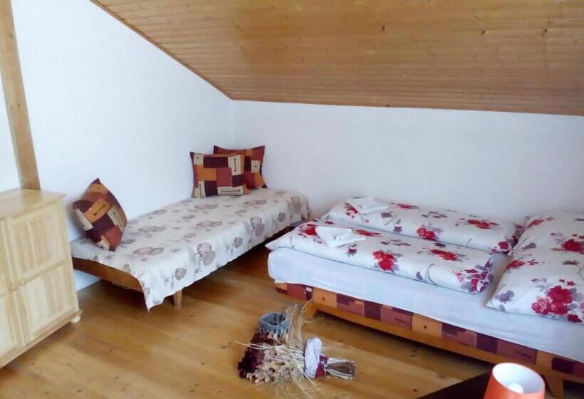 펜션 Ubytovanie Hugo Alžbetka