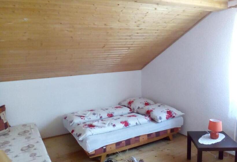 펜션 Ubytovanie Hugo Alžbetka