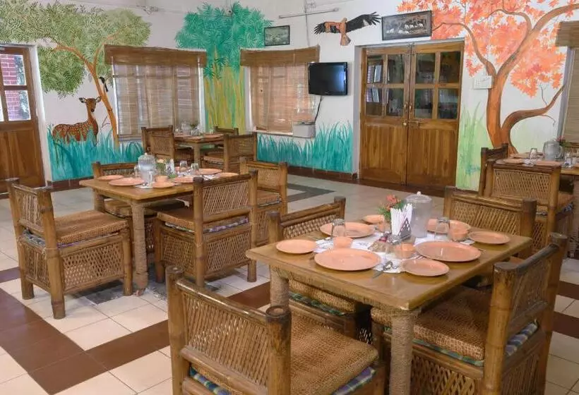 Baaz Jungle Resort
