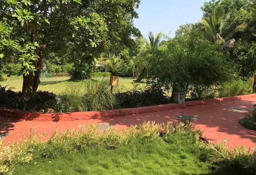 Baaz Jungle Resort