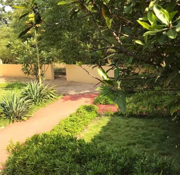 Baaz Jungle Resort