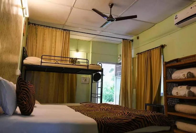 Baaz Jungle Resort