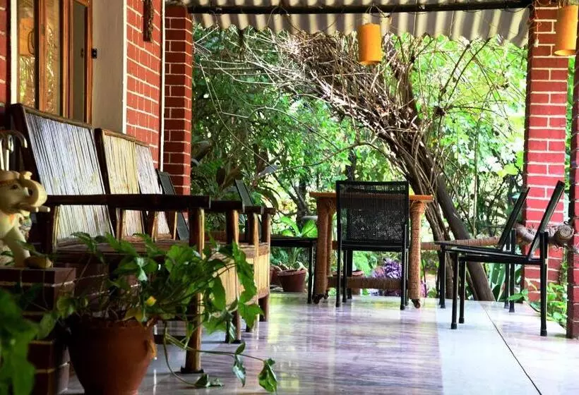 Baaz Jungle Resort