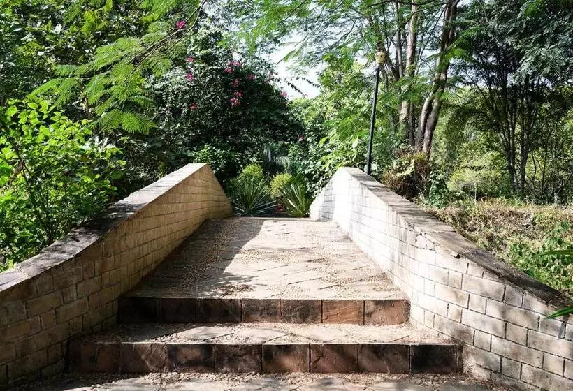 Baaz Jungle Resort