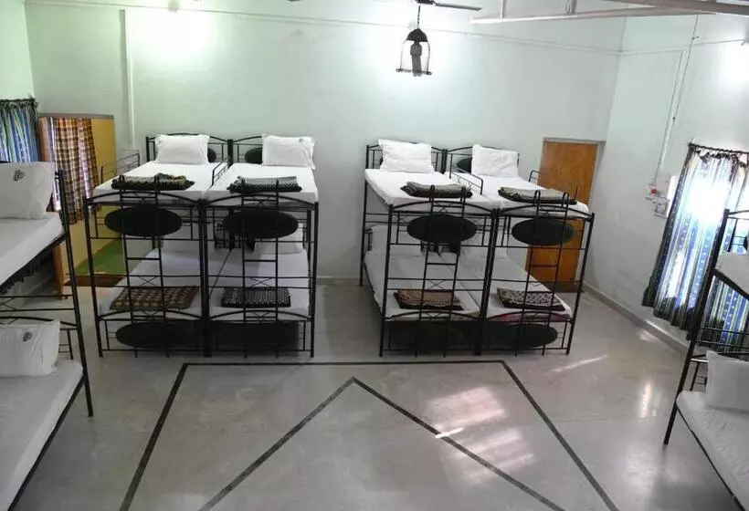Baaz Jungle Resort