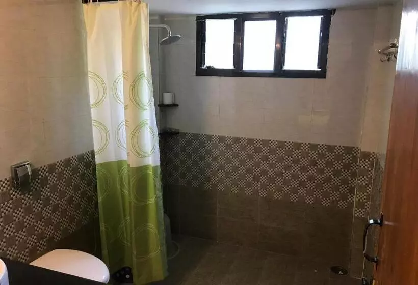 Baaz Jungle Resort