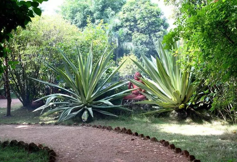 Baaz Jungle Resort