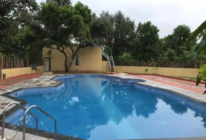 Baaz Jungle Resort