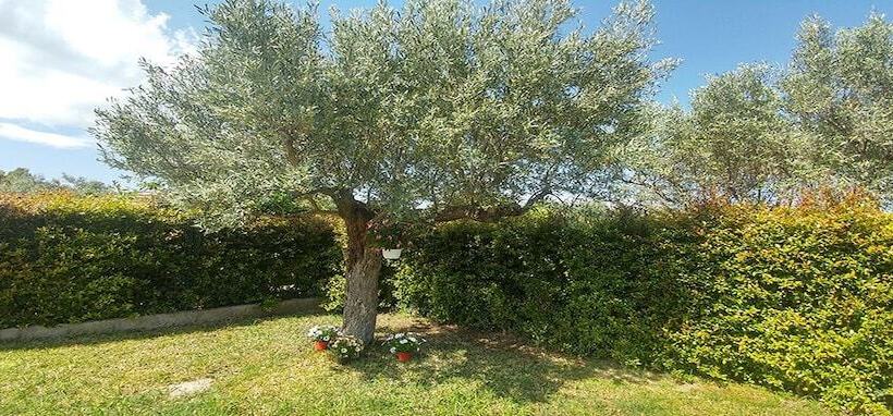 Bed and Breakfast Villa Aurelio