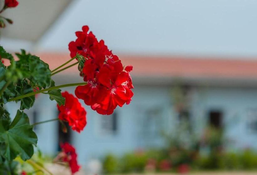 ホテル Central Palace