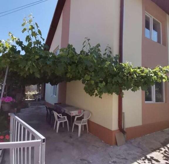 پانسیون Villa Daniel Irena Pestani