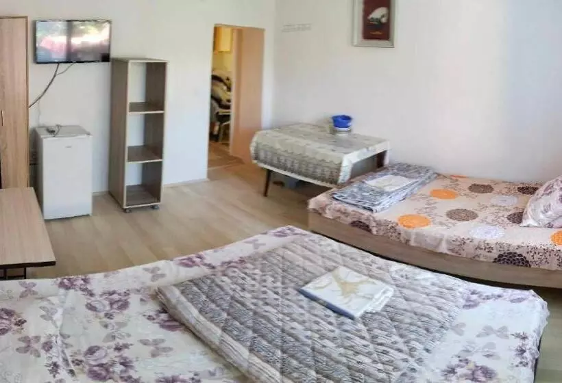پانسیون Villa Daniel Irena Pestani