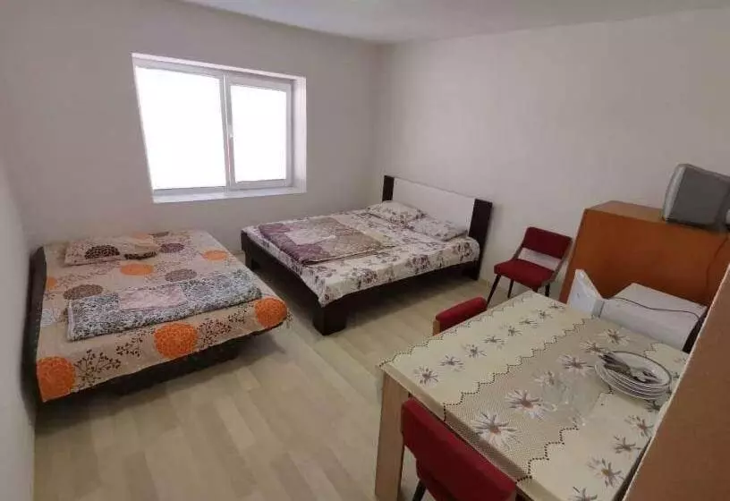 پانسیون Villa Daniel Irena Pestani
