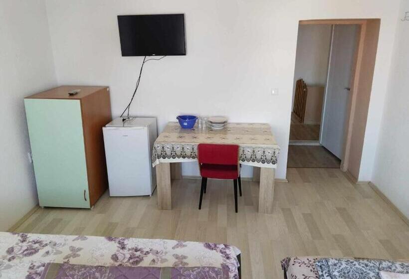 پانسیون Villa Daniel Irena Pestani