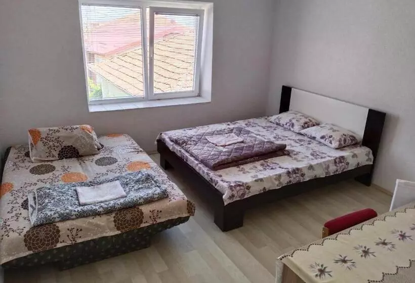 پانسیون Villa Daniel Irena Pestani