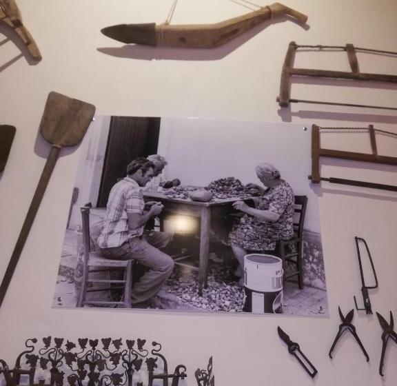 膳宿费 Lt Sicilia Bellas