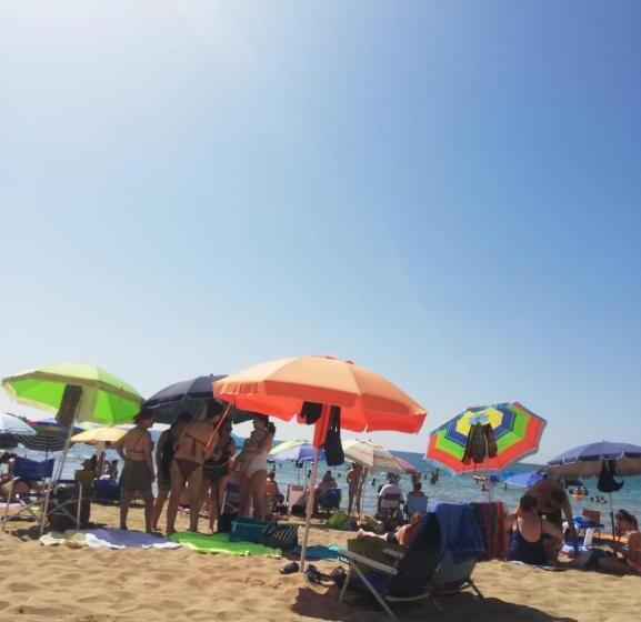 膳宿费 Lt Sicilia Bellas