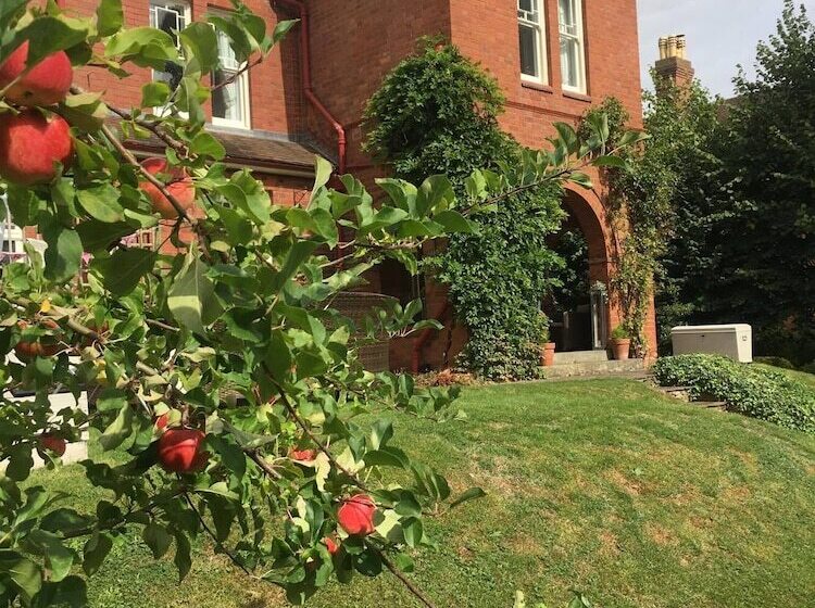 مبيت وإفطار Copper Beech House