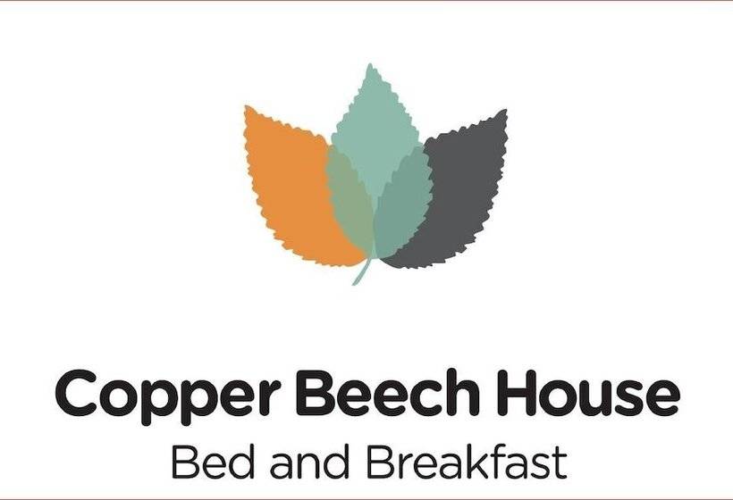 مبيت وإفطار Copper Beech House