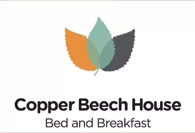 ベッドアンドブレックファースト Copper Beech House