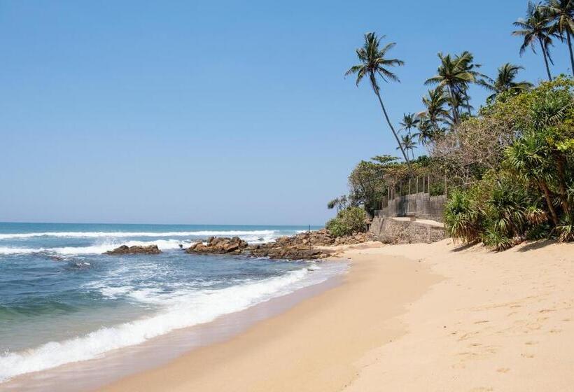 ホテル Basecamp Yoga Beach House