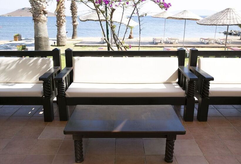 هتل Bodrum Sea Side Beach Club