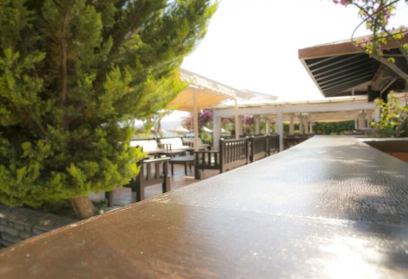 هتل Bodrum Sea Side Beach Club