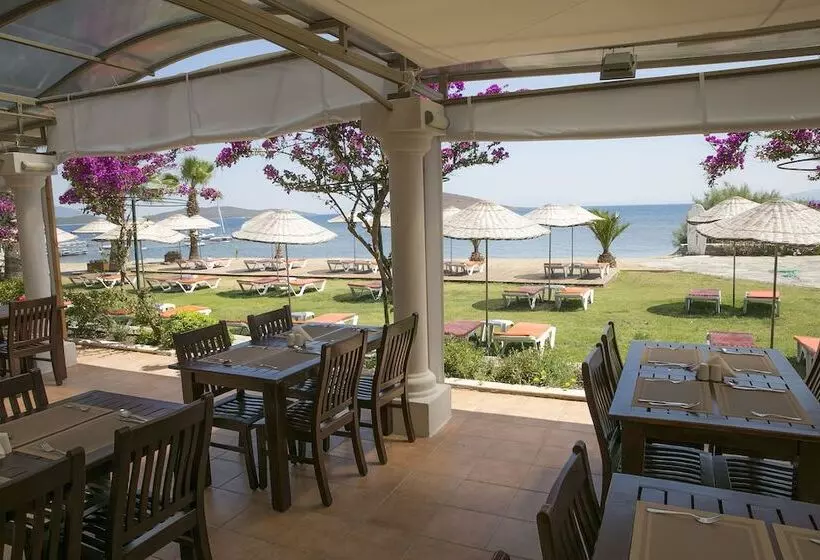 Hotelli Bodrum Sea Side Beach Club
