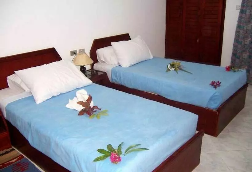 هتل Fayed Beach Resort