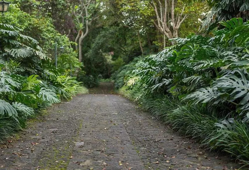 هتل Finca Rosa Blanca Coffee Farm And Inn