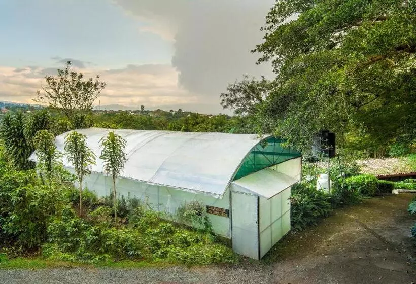 هتل Finca Rosa Blanca Coffee Farm And Inn
