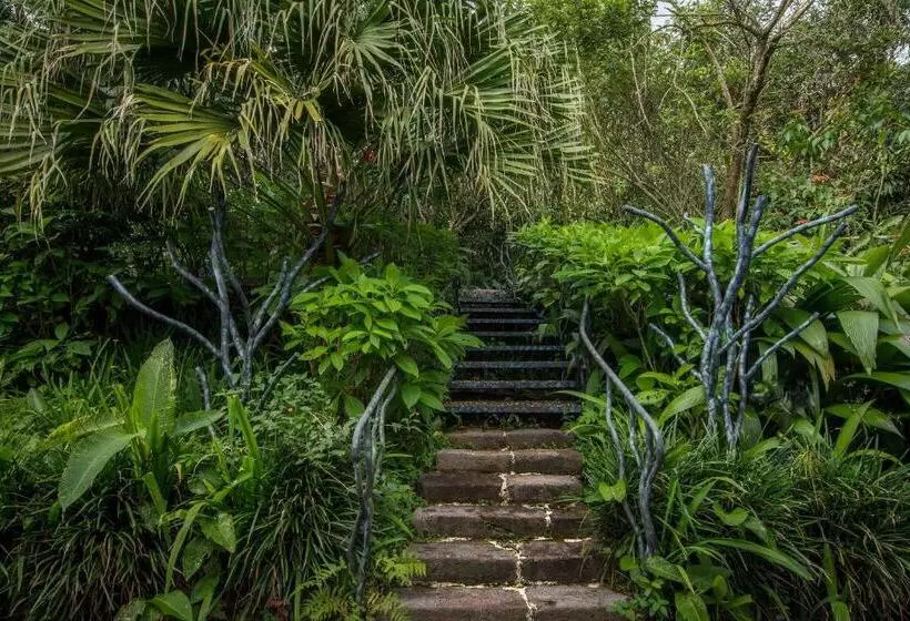 هتل Finca Rosa Blanca Coffee Farm And Inn