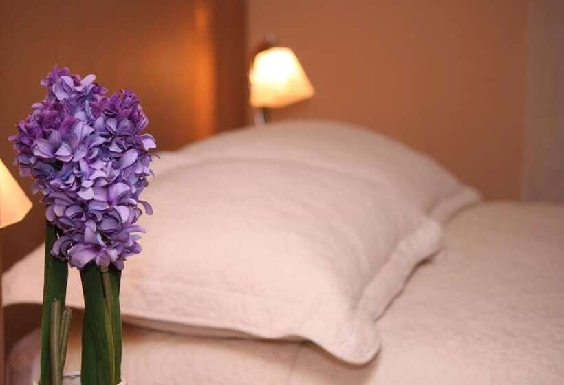 Samana Colca Hotel Chivay