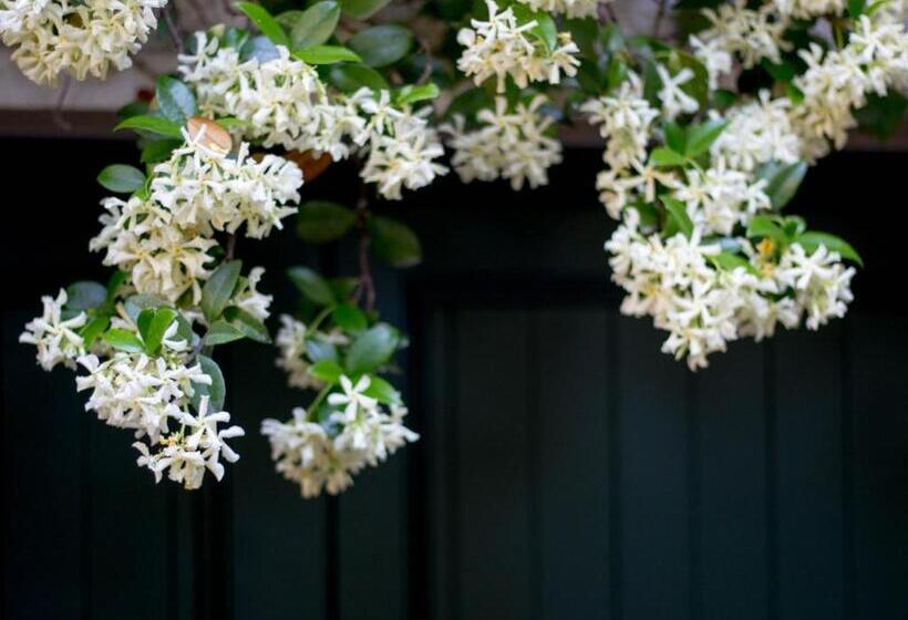 Bed and Breakfast Sopra Al Forte