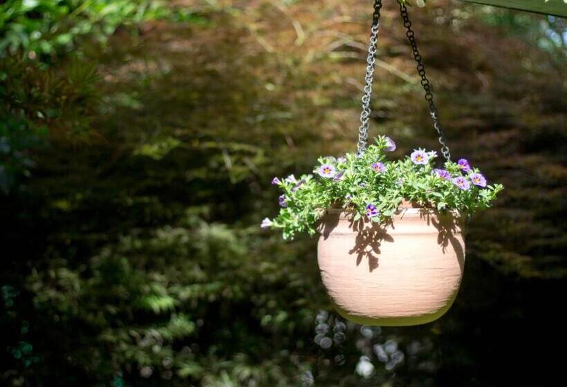 Bed and Breakfast Sopra Al Forte