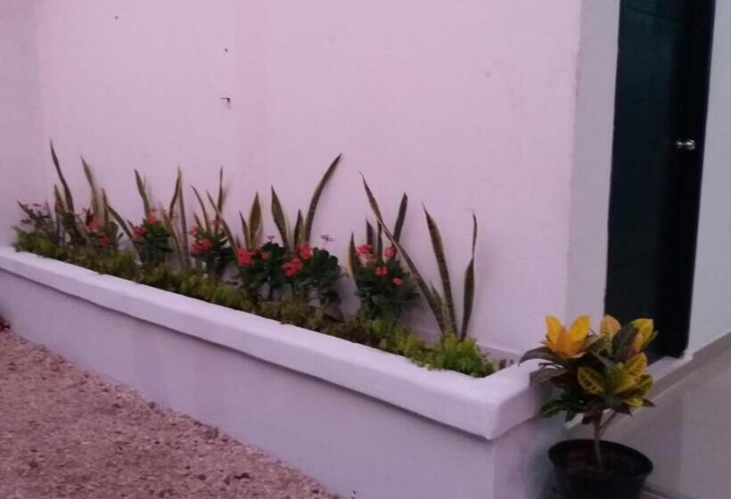 Отель Don Toño Tolú