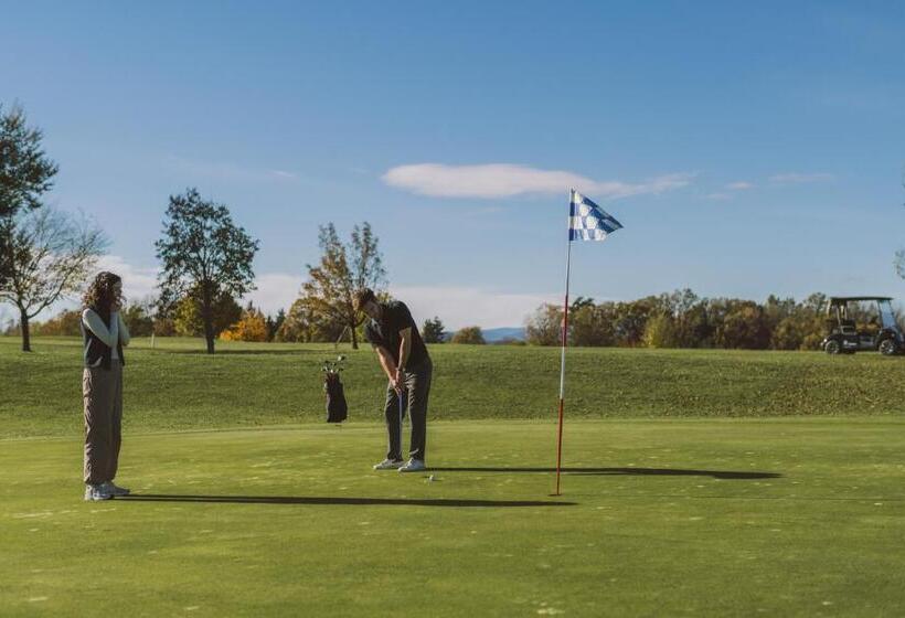 Отель Reiters Finest Family