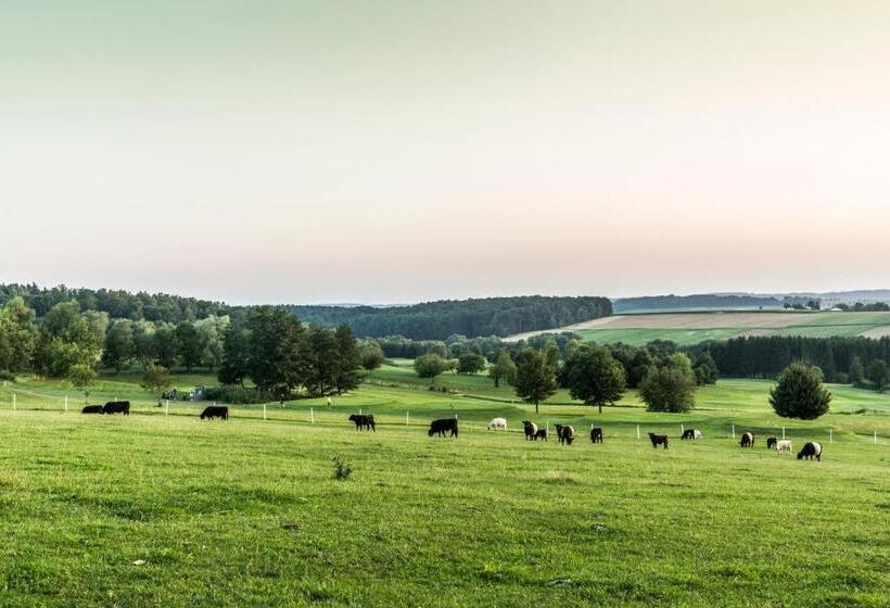 Отель Reiters Finest Family